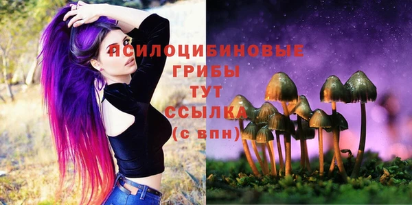 дмт Абдулино