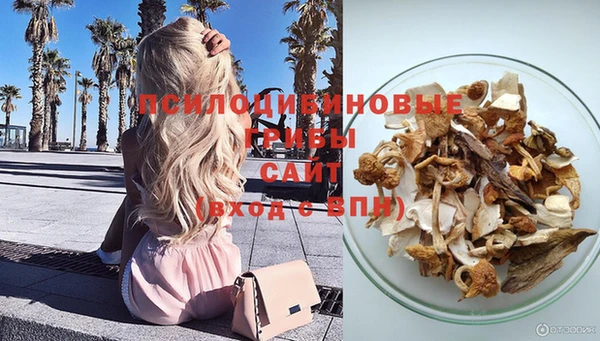 a pvp Абинск