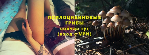 a pvp Абинск