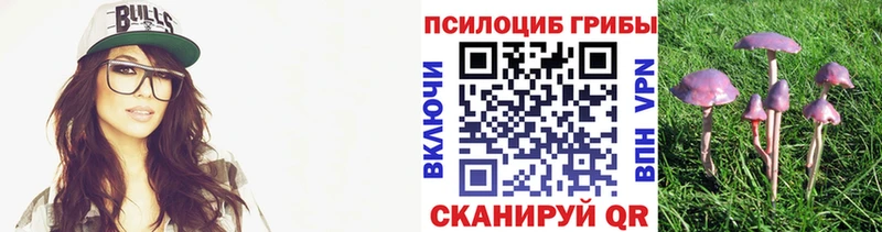 Галлюциногенные грибы Psilocybine cubensis Туран
